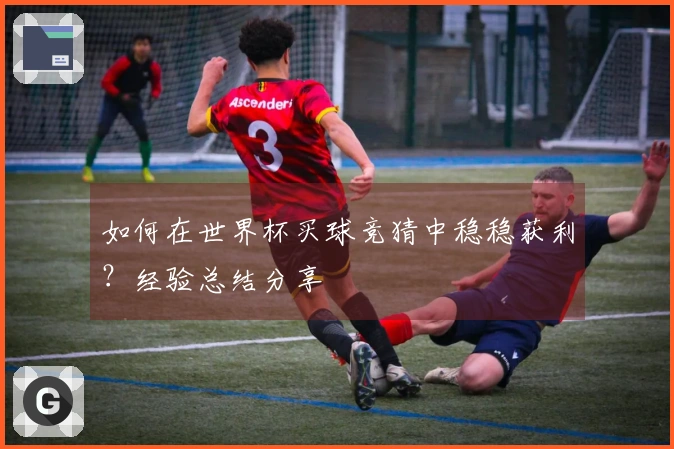 如何在世界杯买球竞猜中稳稳获利？经验总结分享
