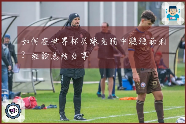 如何在世界杯买球竞猜中稳稳获利？经验总结分享